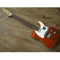 Standard Telecaster Electric Gutars