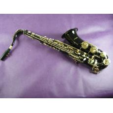 Professional Tenor Saxophones black