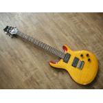 PRS Custom 24 Ele...