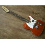 Standard Telecaster Electric Gutars