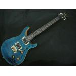 PRS Custom 22 Bird Inlays electric guitar