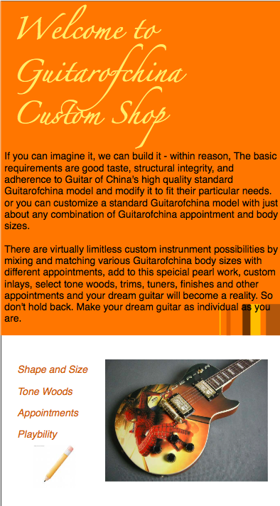 guitar custom shop
